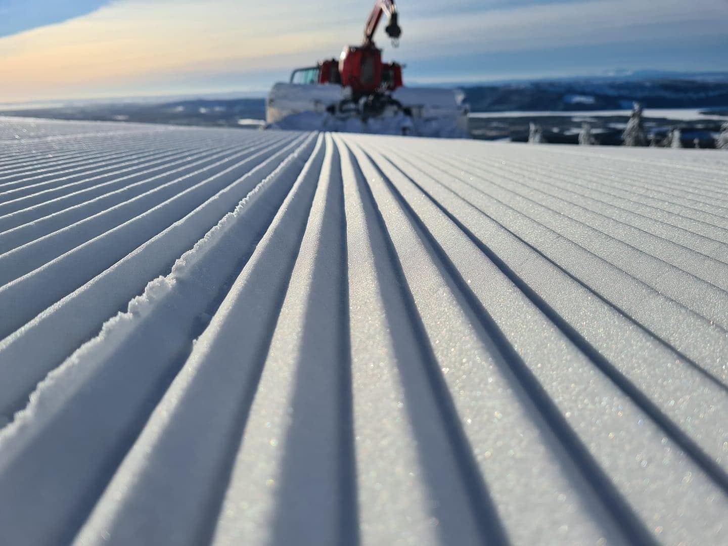 Almåsa öppnar igen!